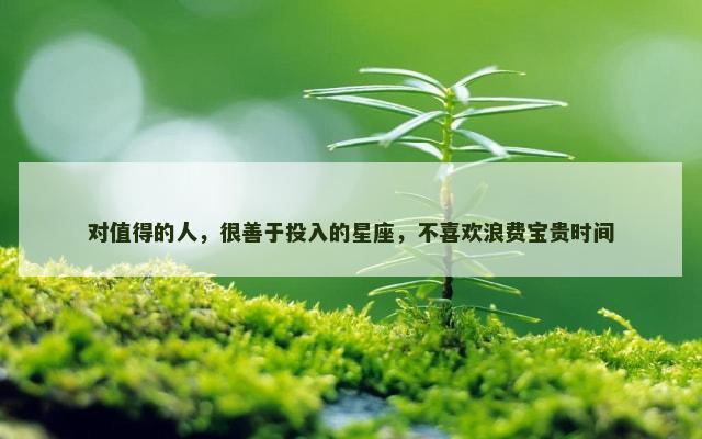 对值得的人，很善于投入的星座，不喜欢浪费宝贵时间