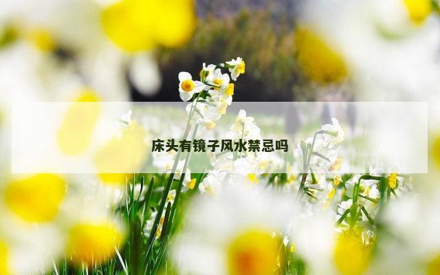 床头有镜子风水禁忌吗