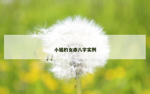 小姐的女命八字实例