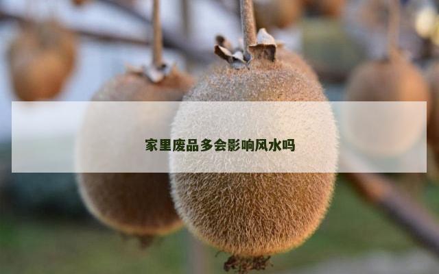 家里废品多会影响风水吗