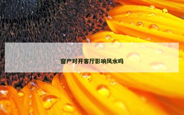 窗户对开客厅影响风水吗