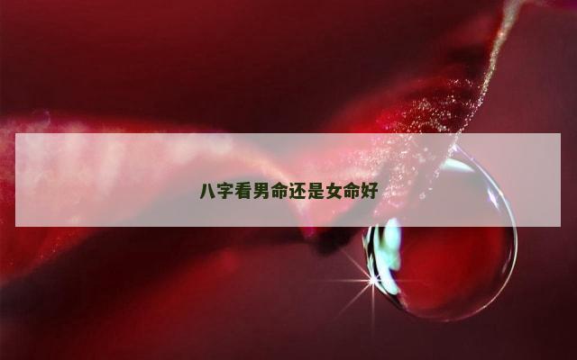 八字看男命还是女命好