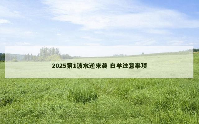 2025第1波水逆来袭 白羊注意事项