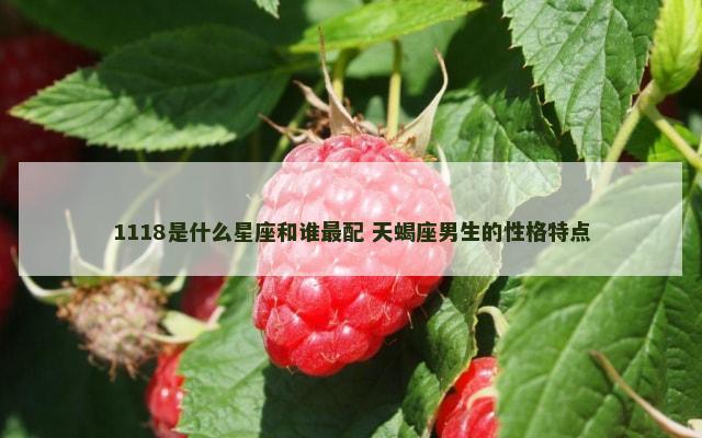 1118是什么星座和谁最配 天蝎座男生的性格特点