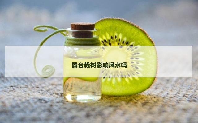 露台栽树影响风水吗