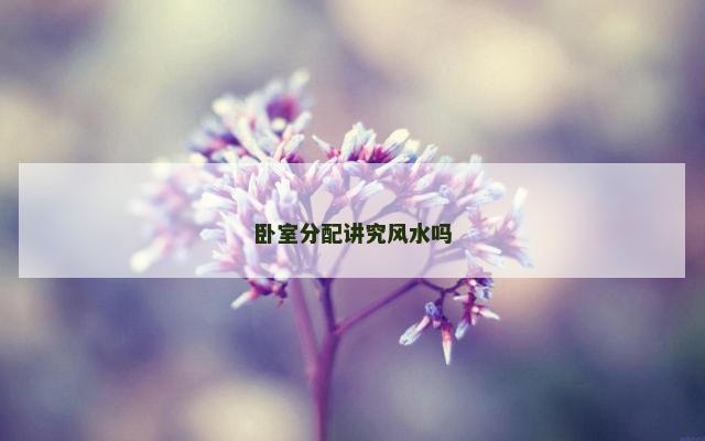 卧室分配讲究风水吗