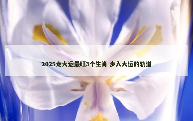 2025走大运最旺3个生肖 步入大运的轨道