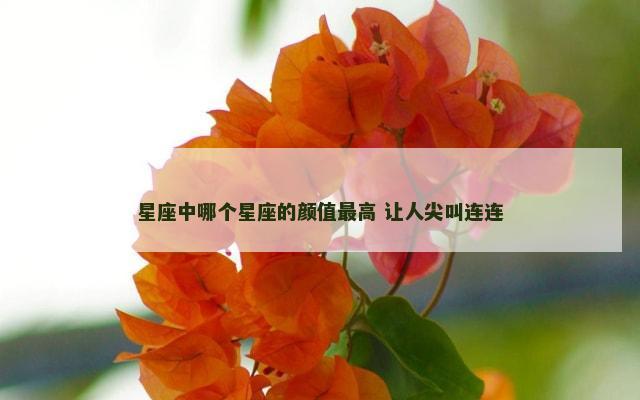 星座中哪个星座的颜值最高 让人尖叫连连