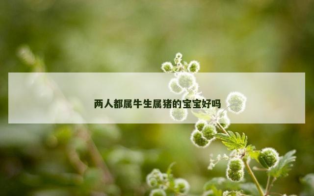 两人都属牛生属猪的宝宝好吗