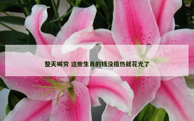 整天喊穷 这些生肖的钱没捂热就花光了