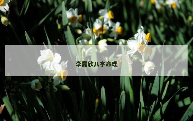 李嘉欣八字命理