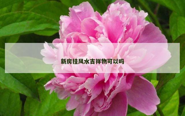 新房挂风水吉祥物可以吗