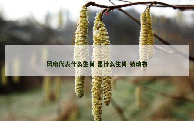 风扇代表什么生肖 是什么生肖 猜动物