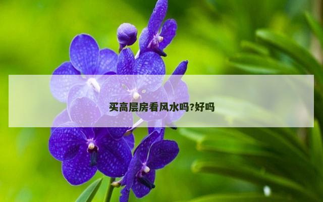 买高层房看风水吗?好吗