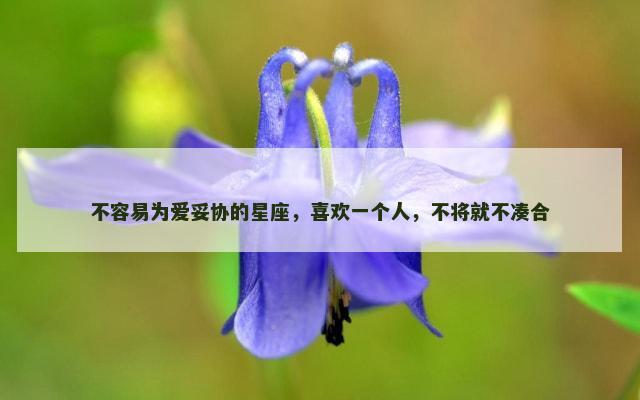 不容易为爱妥协的星座，喜欢一个人，不将就不凑合
