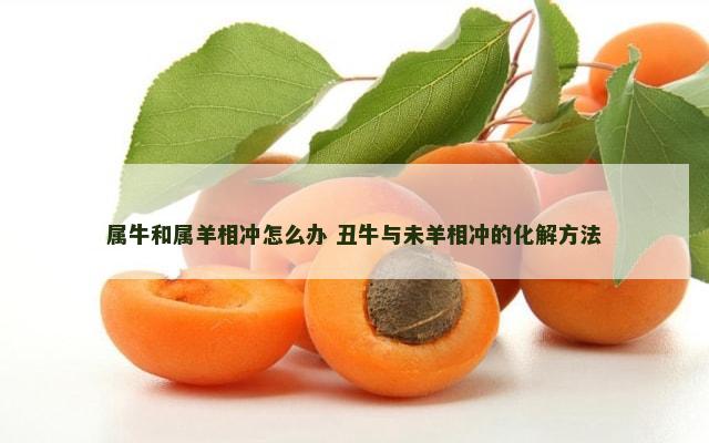 属牛和属羊相冲怎么办 丑牛与未羊相冲的化解方法