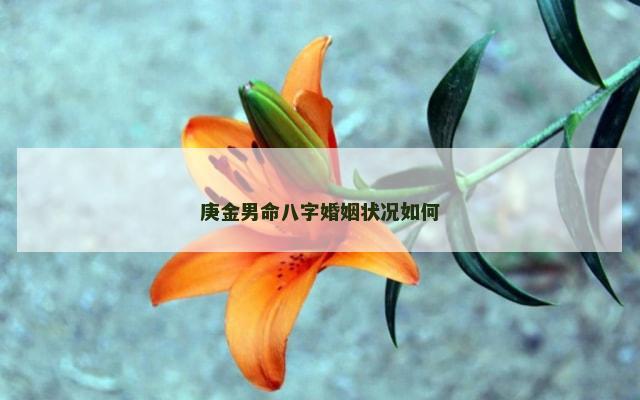 庚金男命八字婚姻状况如何