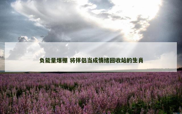 负能量爆棚 将伴侣当成情绪回收站的生肖