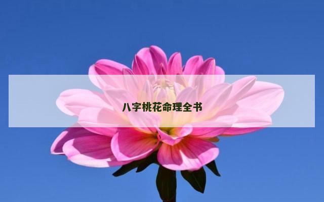 八字桃花命理全书