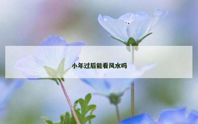 小年过后能看风水吗