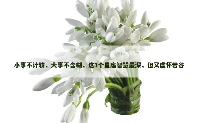 小事不计较，大事不含糊，这3个星座智慧最深，但又虚怀若谷