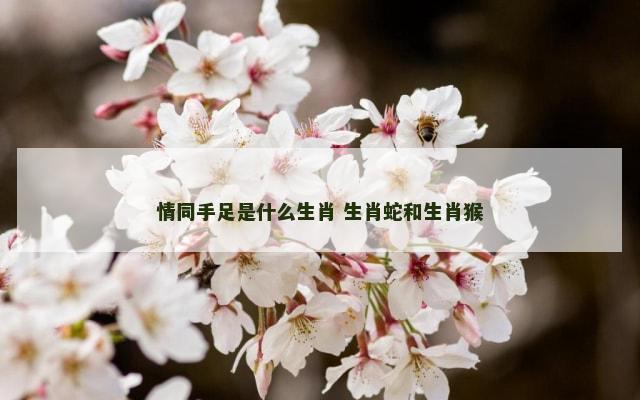 情同手足是什么生肖 生肖蛇和生肖猴