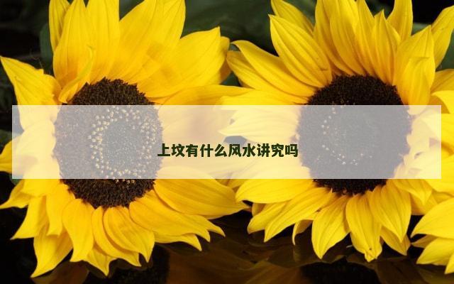 上坟有什么风水讲究吗