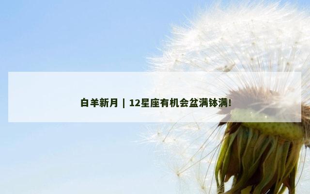 白羊新月 | 12星座有机会盆满钵满！
