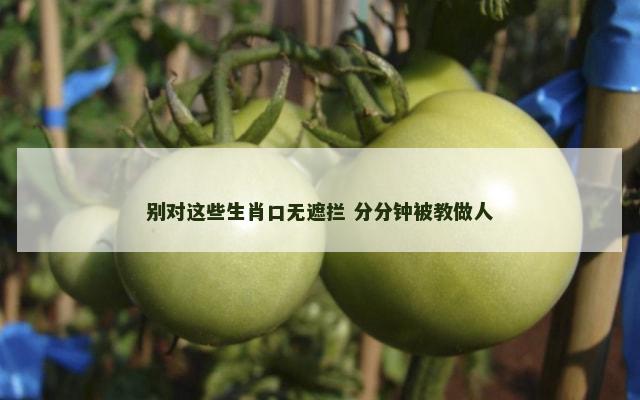 别对这些生肖口无遮拦 分分钟被教做人