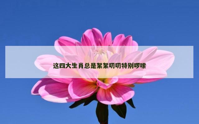 这四大生肖总是絮絮叨叨特别啰嗦