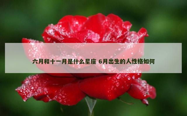 六月和十一月是什么星座 6月出生的人性格如何