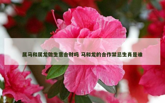 属马和属龙做生意合财吗 马和龙的合作禁忌生肖是谁