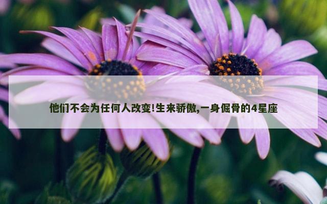 他们不会为任何人改变!生来骄傲,一身倔骨的4星座