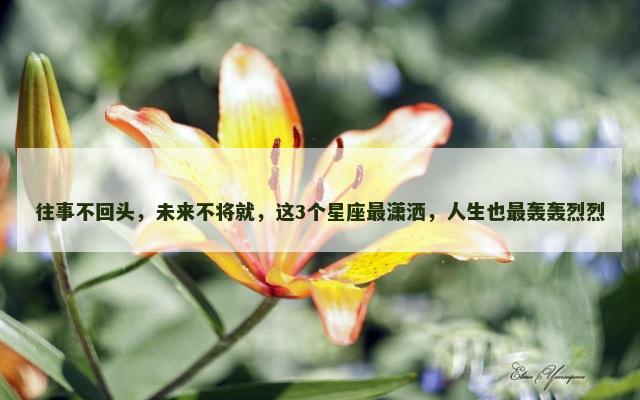 往事不回头，未来不将就，这3个星座最潇洒，人生也最轰轰烈烈