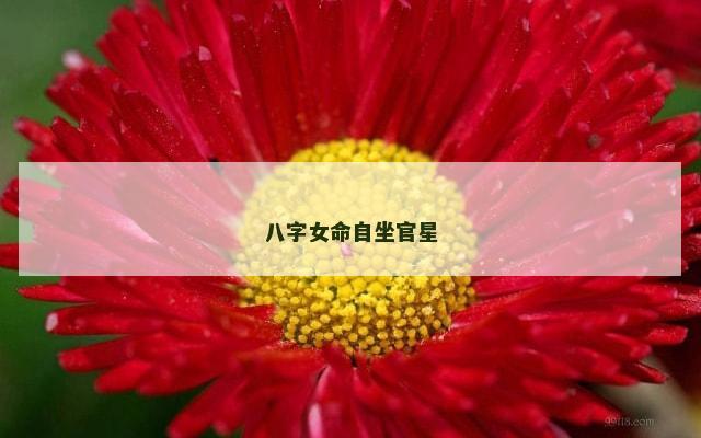 八字女命自坐官星