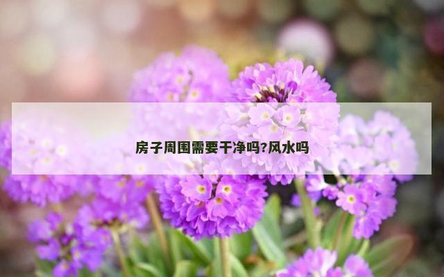 房子周围需要干净吗?风水吗