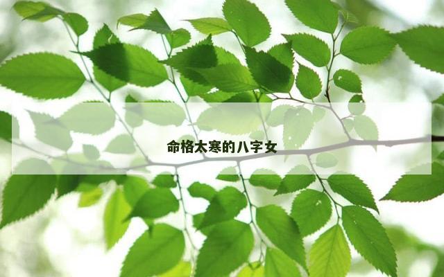 命格太寒的八字女