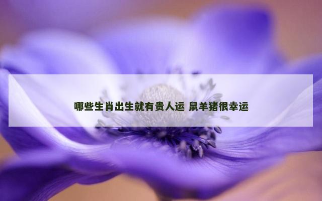 哪些生肖出生就有贵人运 鼠羊猪很幸运