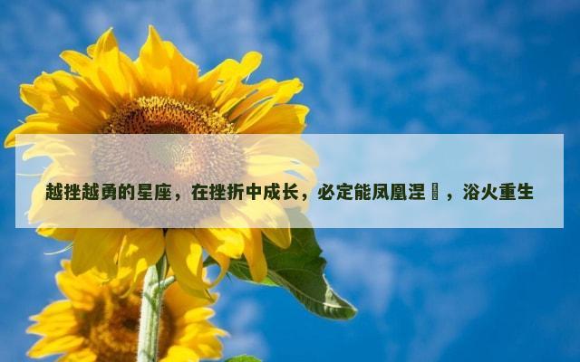 越挫越勇的星座，在挫折中成长，必定能凤凰涅槃，浴火重生