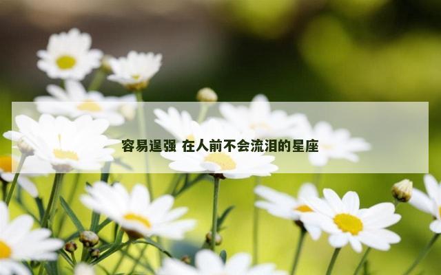 容易逞强 在人前不会流泪的星座