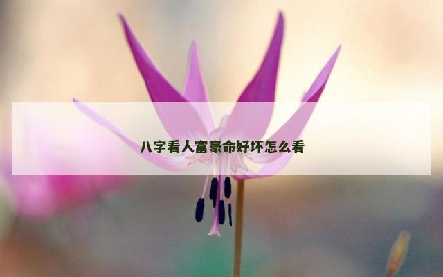 八字看人富豪命好坏怎么看
