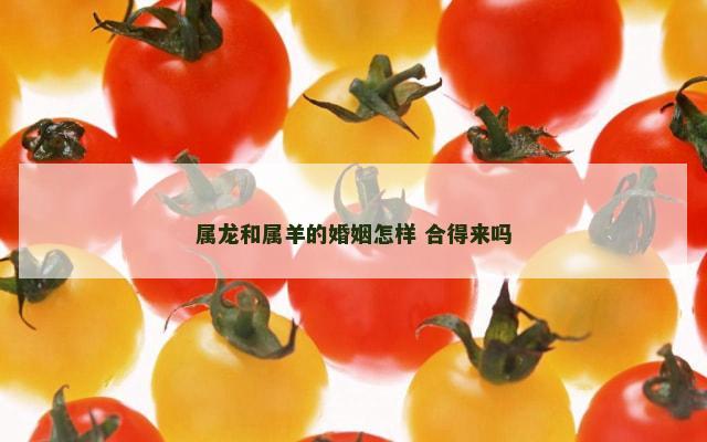 属龙和属羊的婚姻怎样 合得来吗