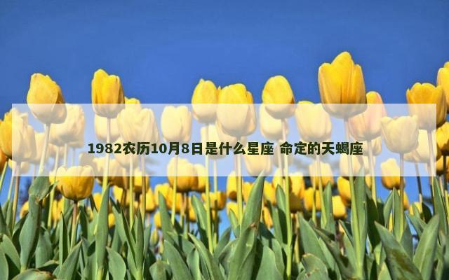 1982农历10月8日是什么星座 命定的天蝎座