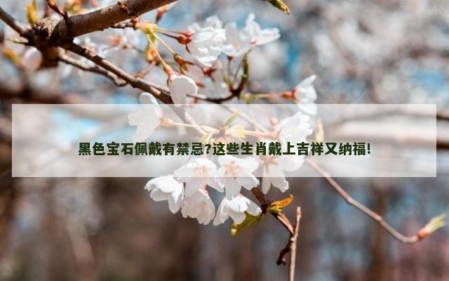 黑色宝石佩戴有禁忌?这些生肖戴上吉祥又纳福!
