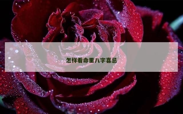 怎样看命里八字喜忌