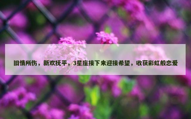 旧情所伤，新欢抚平，3星座接下来迎接希望，收获彩虹般恋爱