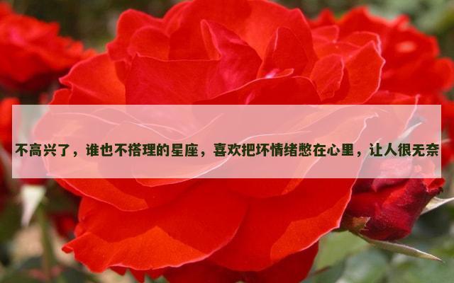 不高兴了，谁也不搭理的星座，喜欢把坏情绪憋在心里，让人很无奈