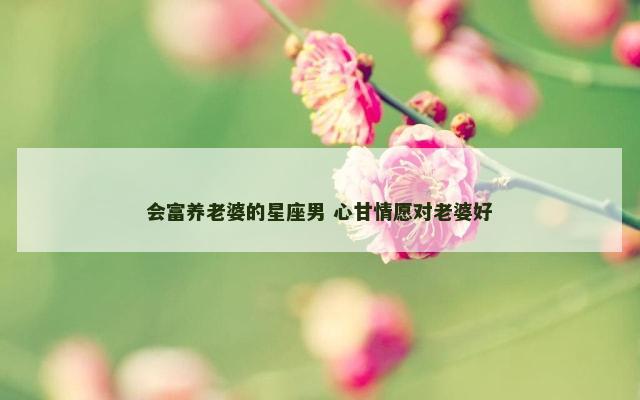 会富养老婆的星座男 心甘情愿对老婆好