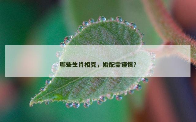 哪些生肖相克，婚配需谨慎？