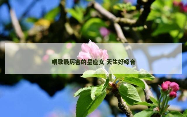 唱歌最厉害的星座女 天生好嗓音